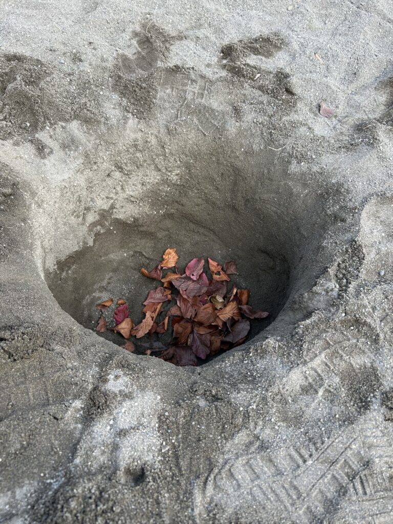 3072E3F5-37CE-4B3D-B573-1D1B68E8F0DD